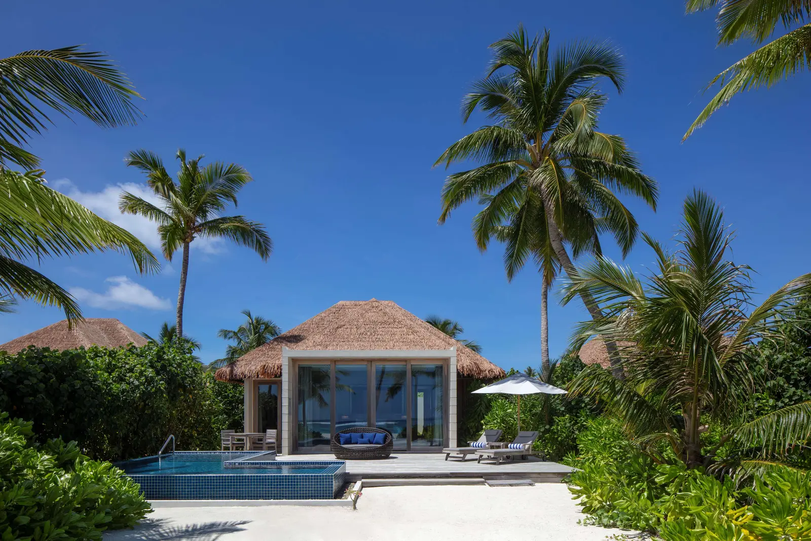 A thatched beach villa with its pool in front, among the palms.
