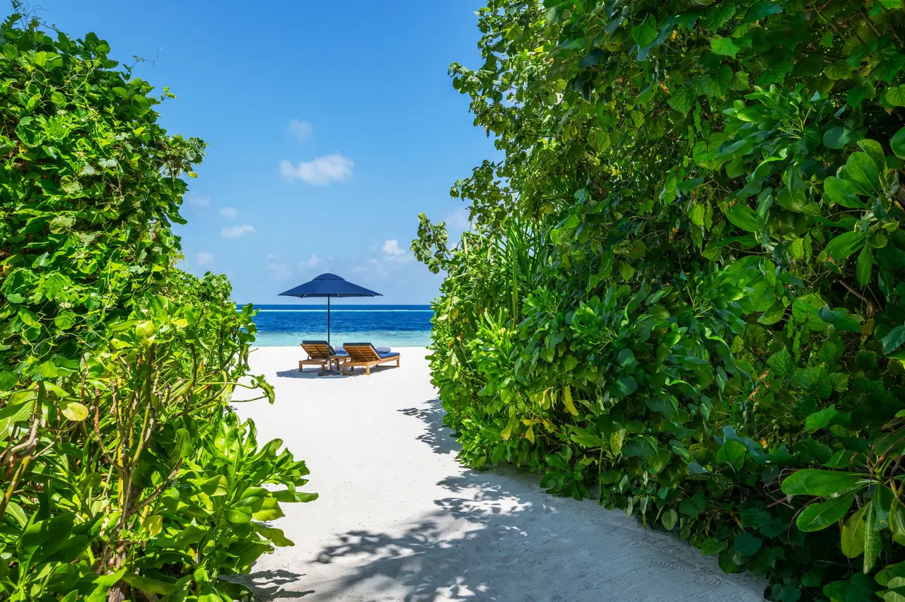The path through the greenery from a beach villa to the sand and its loungers