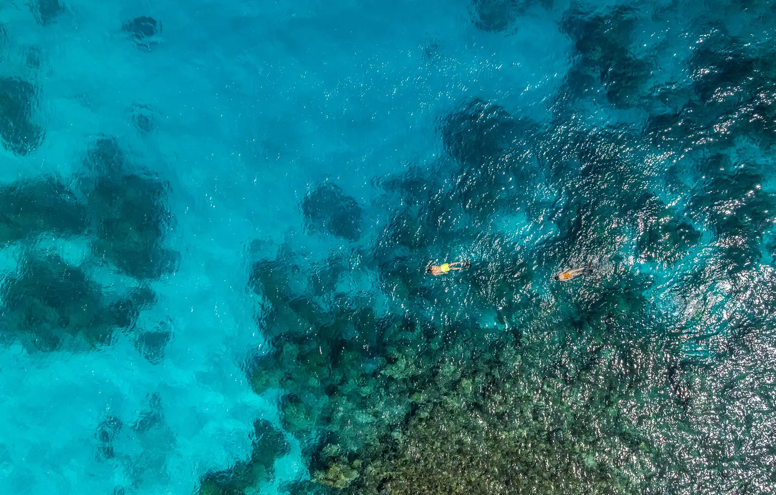 The house reef from above, dark coral heads in turquoise water