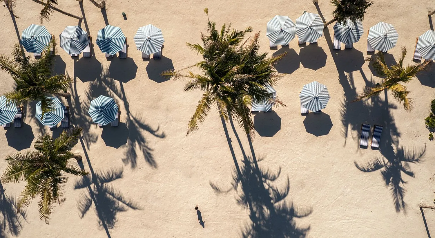 The beach from above, with blue-striped parasols and the long shadows of the palms on the sand.