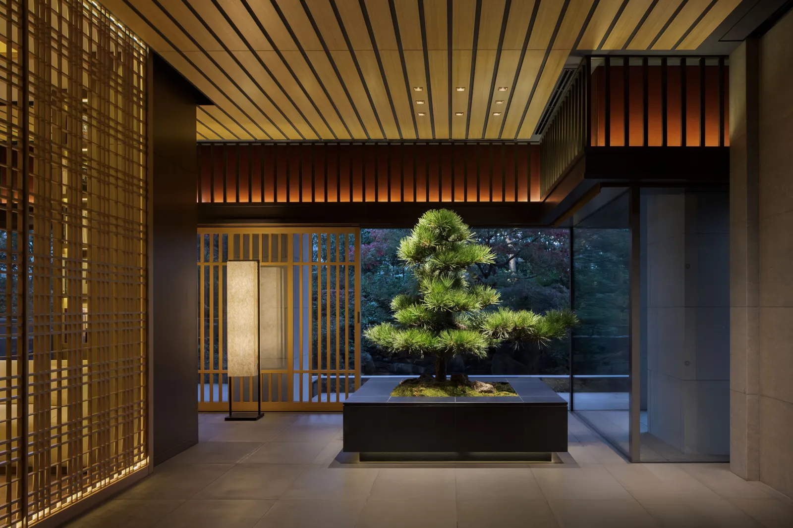 The entrance under its timber canopy: a large potted pine in the middle, pale wooden lattices and a lit paper lantern.