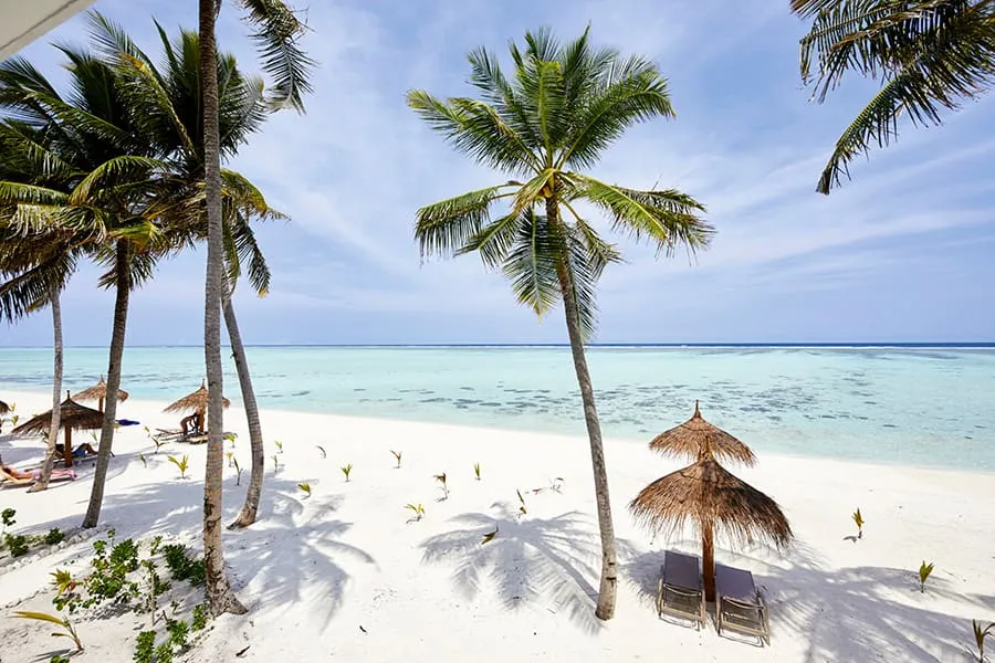 Palms and 2 thatched parasols on the beach, with the turquoise lagoon behind.