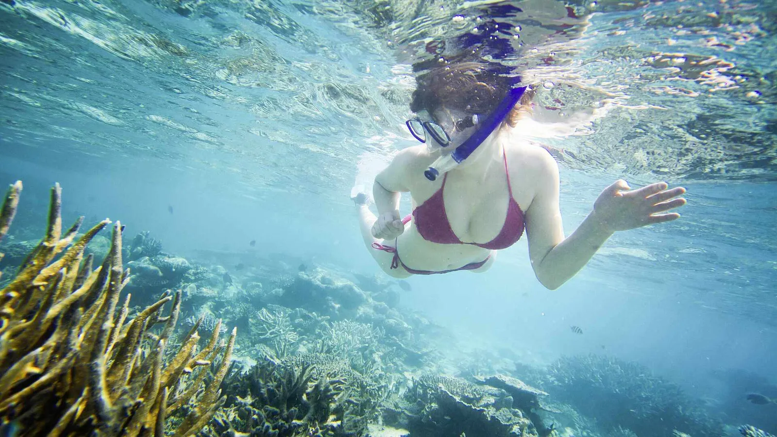 A young woman in a mask swims underwater over the reef’s branching corals.