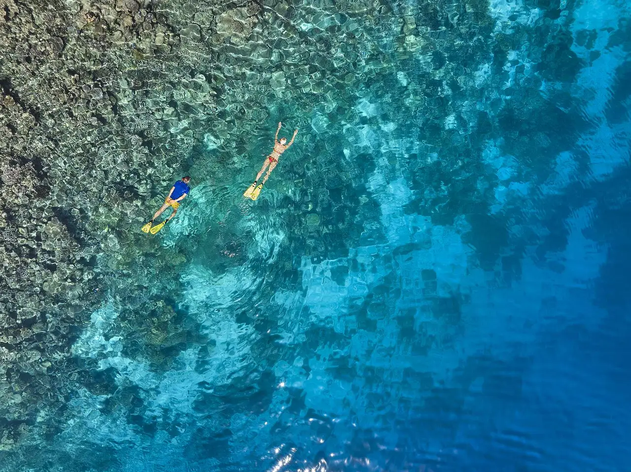 2 people snorkelling over the reef, seen from above, where the bottom drops from turquoise to blue.