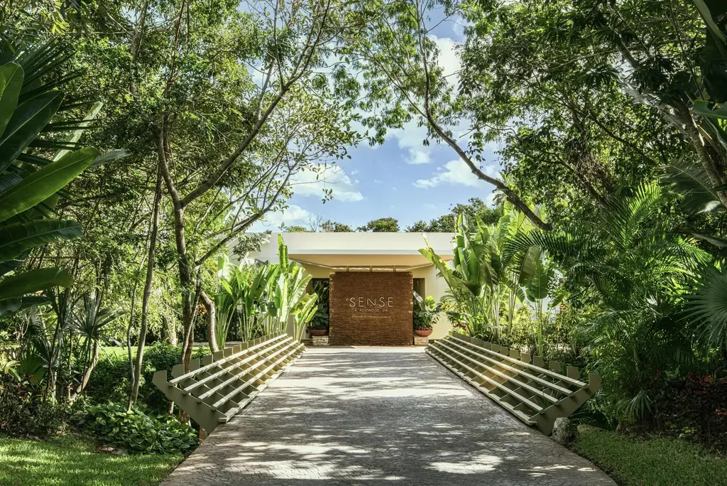The path to the Sense spa entrance through the greenery