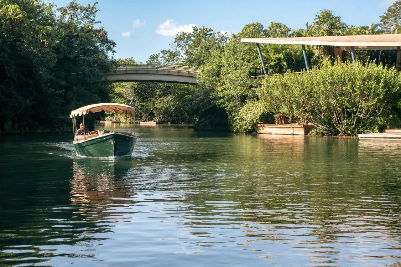 Una barca elettrica sotto il ponte, sulla laguna fra le mangrovie