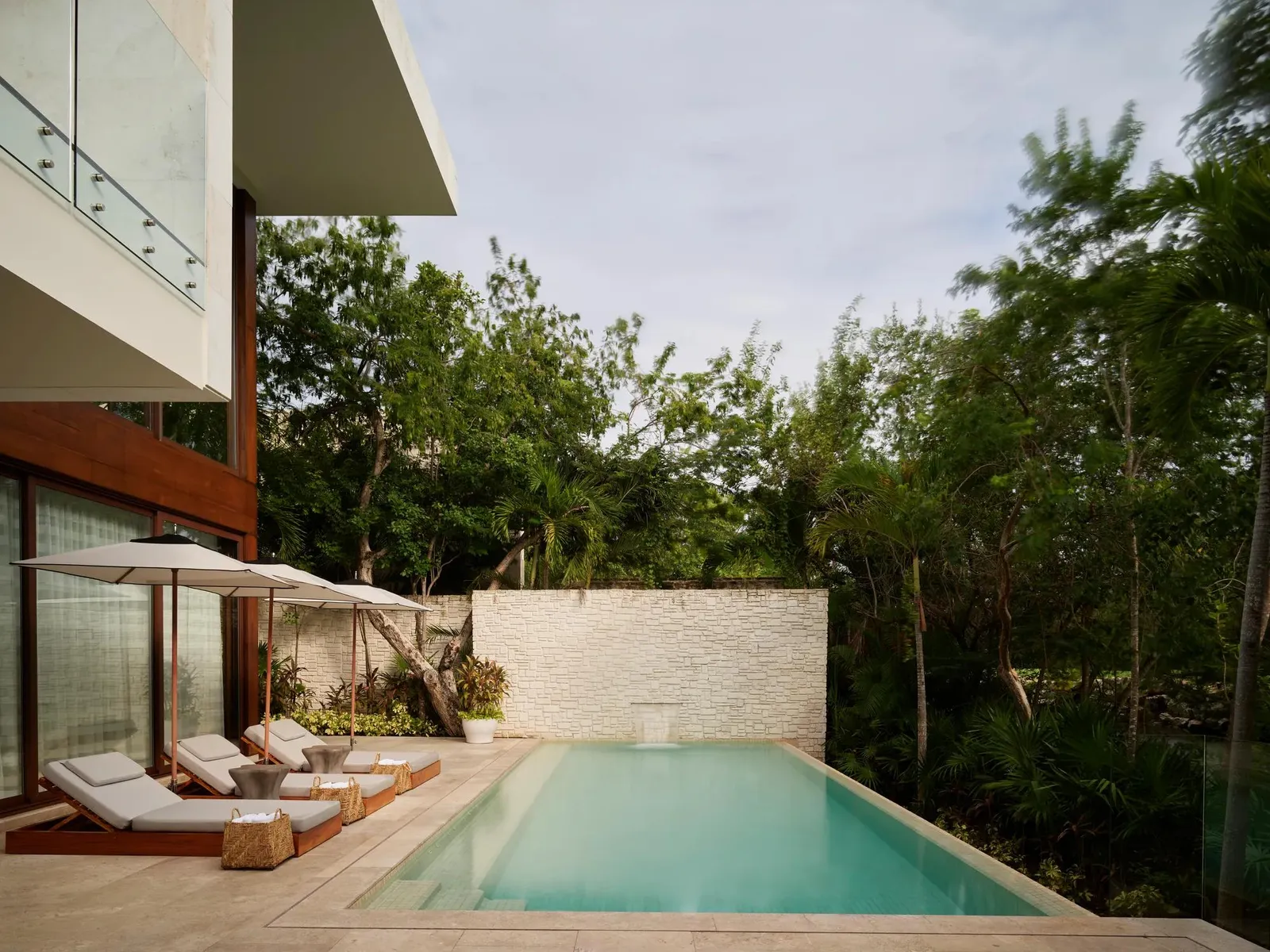 The terrace and infinity pool among the trees