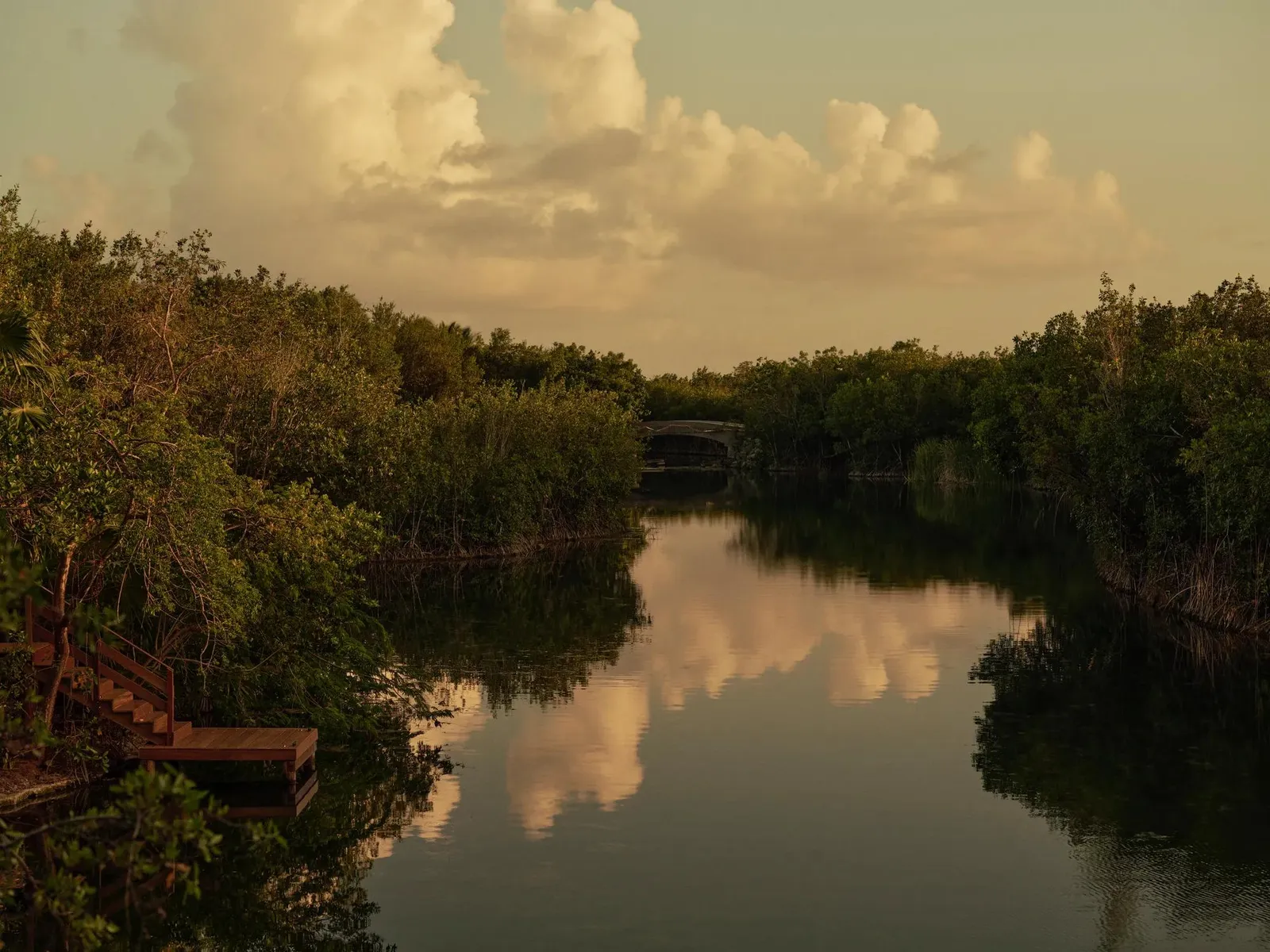 The lagoon at dusk between banks of mangroves