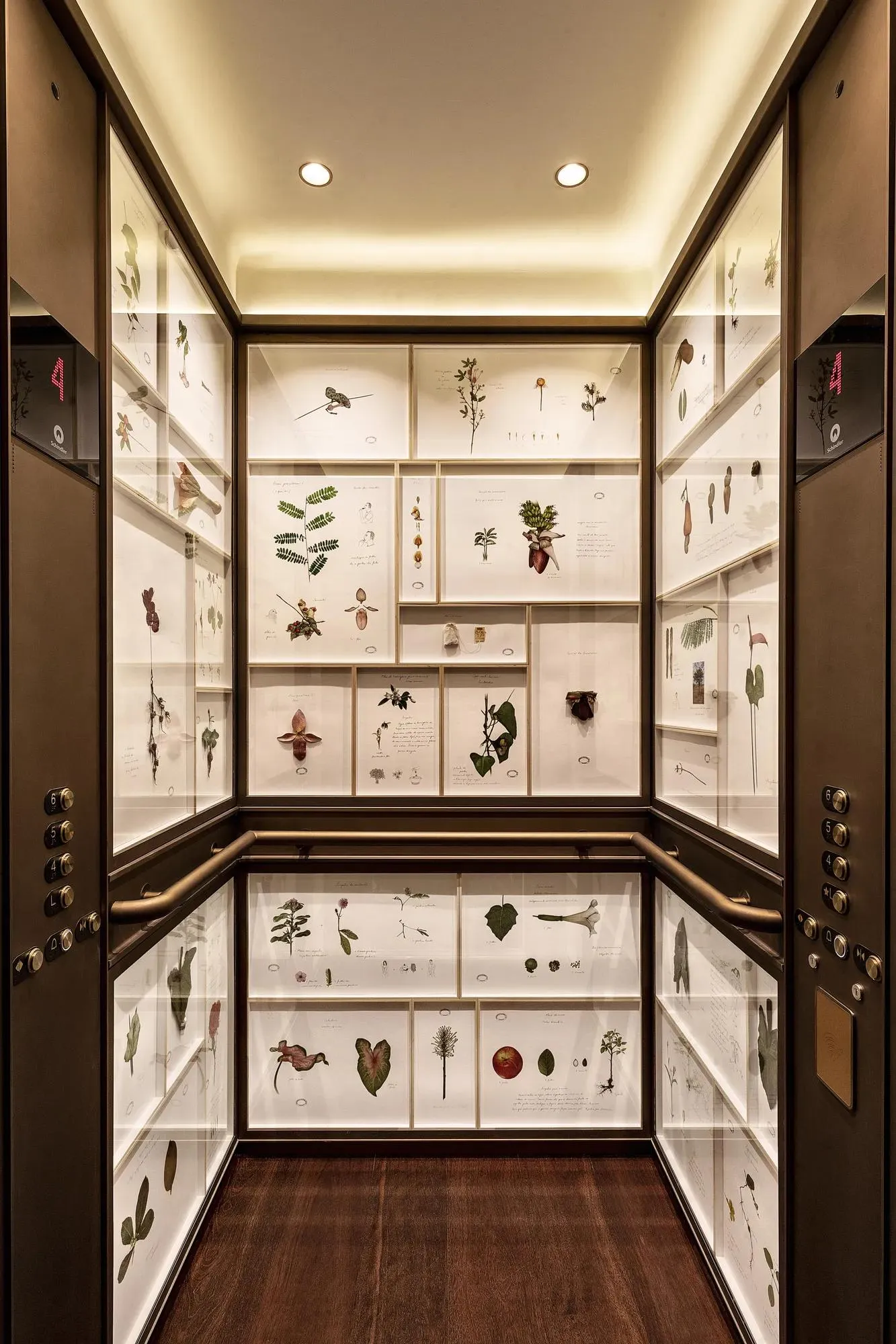 Drawings lining the lift walls