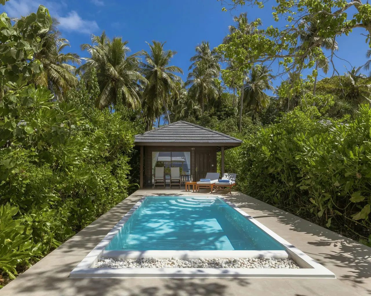 A Beach Pool Villa’s private pool among the greenery, with the pavilion and loungers at the far end.