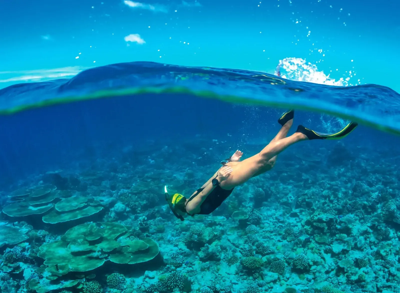 A snorkeller swimming above the coral, half the frame above the surface