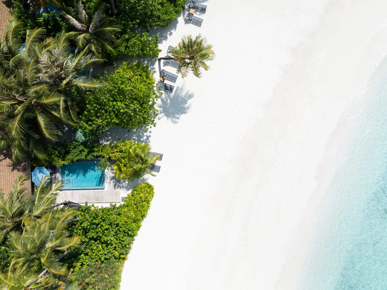 A Beach Villa with Pool from directly above: the pool among palms, loungers on the beach