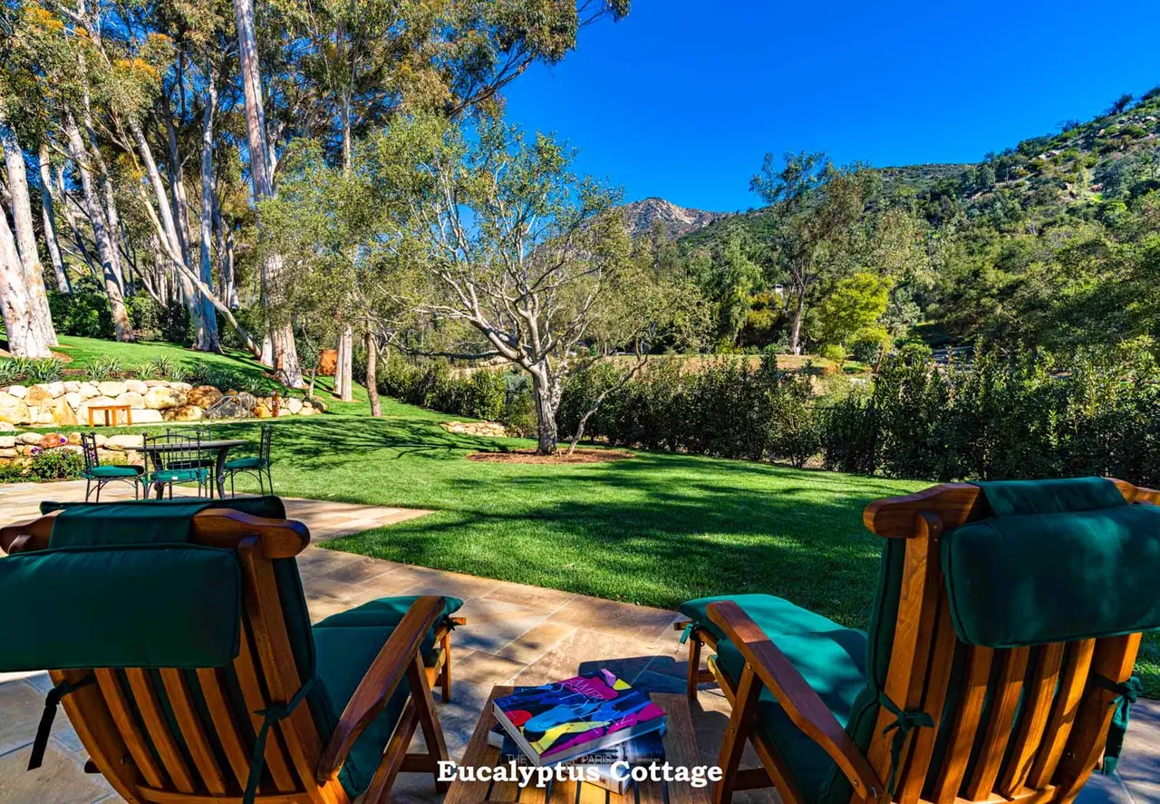 Eucalyptus: 2 wooden loungers facing the lawn, eucalyptus trees and the mountains behind.