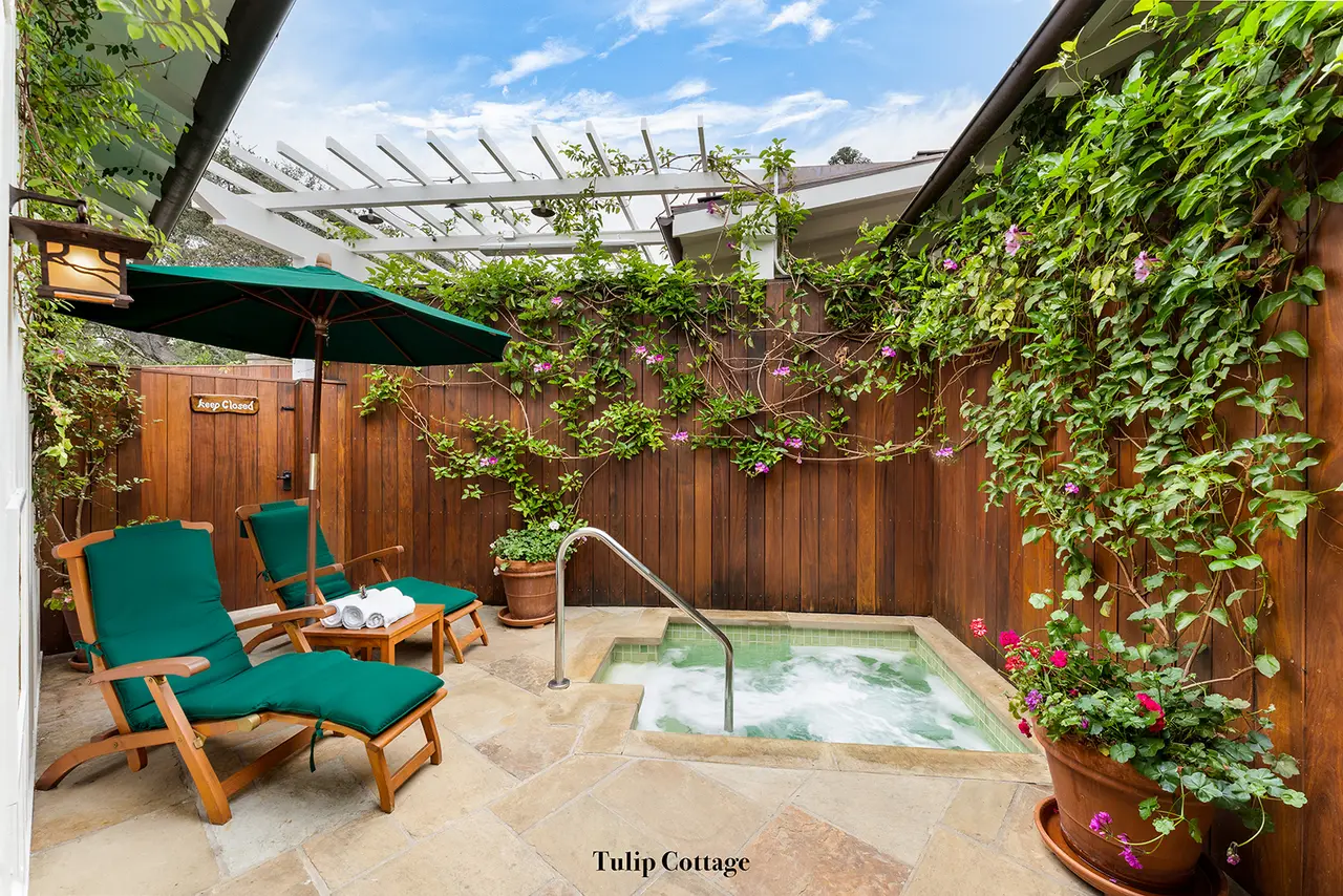 Tulip: the patio among climbers, with 2 green loungers, a parasol and the sunken spa.