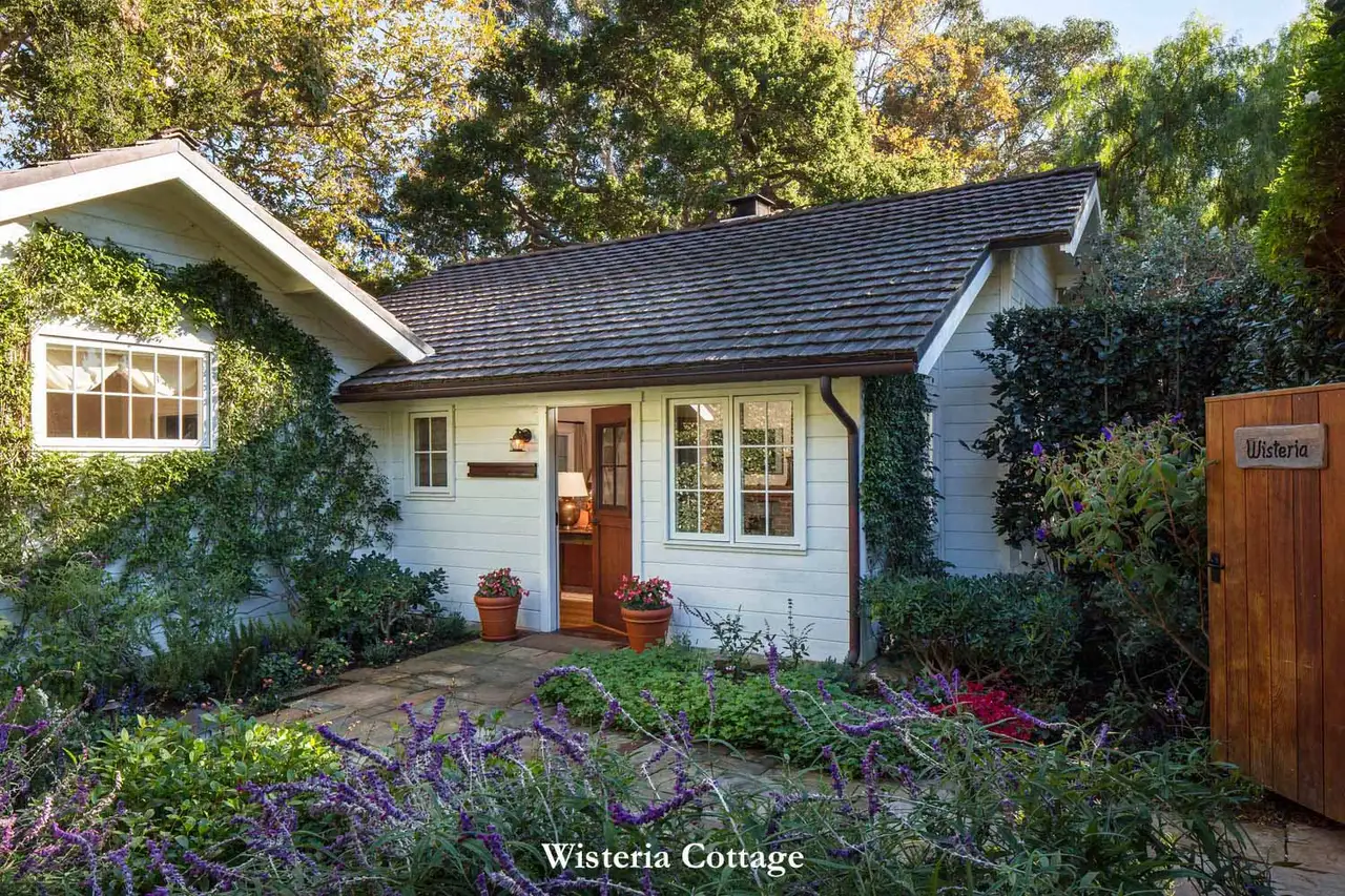Wisteria: the white cottage with its dark roof, seen from the garden, the wooden gate and purple flowers in front.