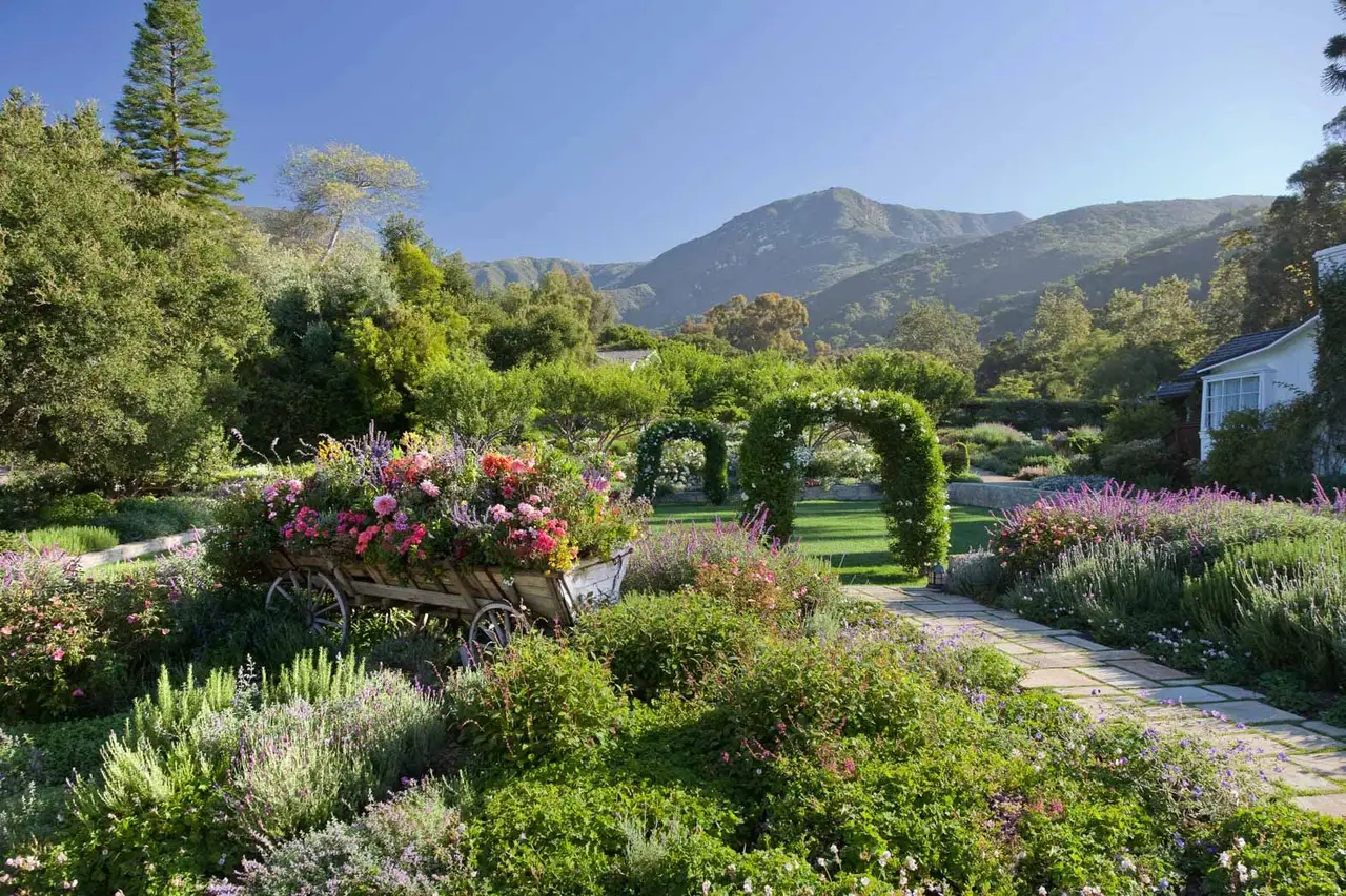 The ranch gardens with rose arches, a cart filled with flowers and the Santa Ynez Mountains behind.