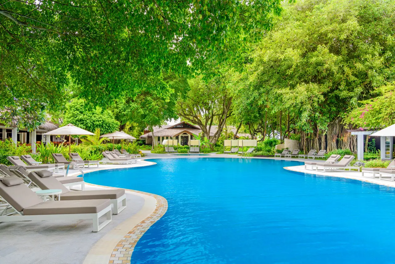 The main pool among the loungers, beneath the trees