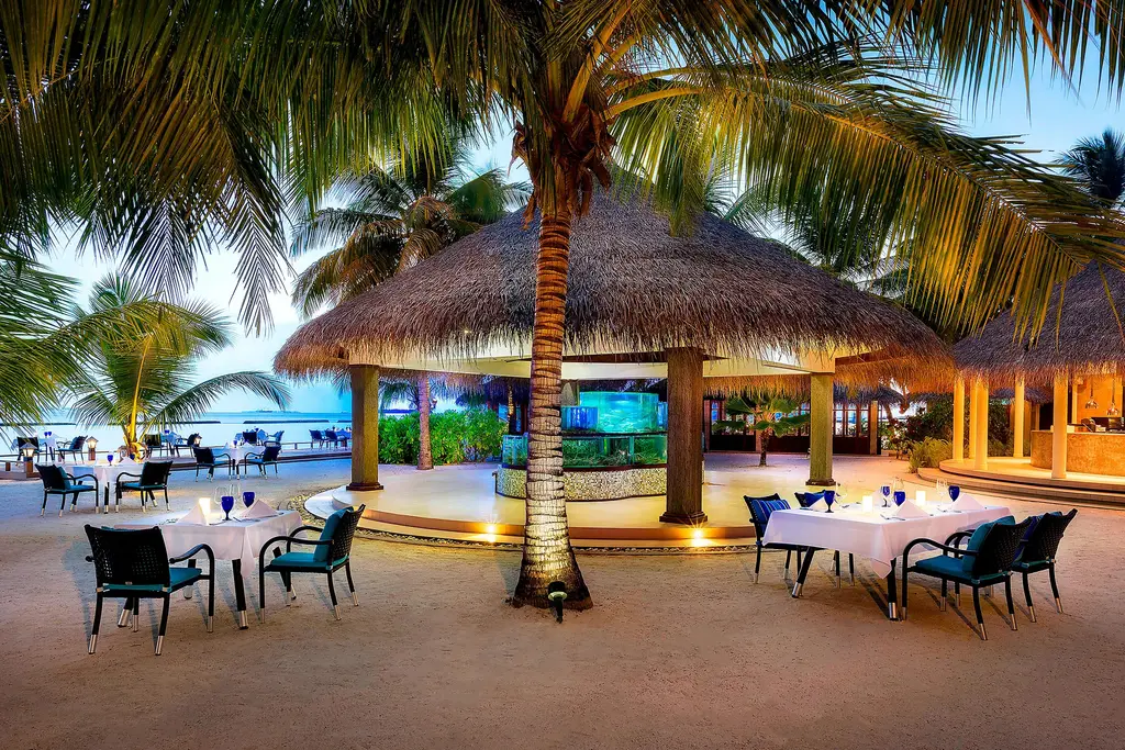 Sea Salt’s tables on the sand beneath the palms, at dusk