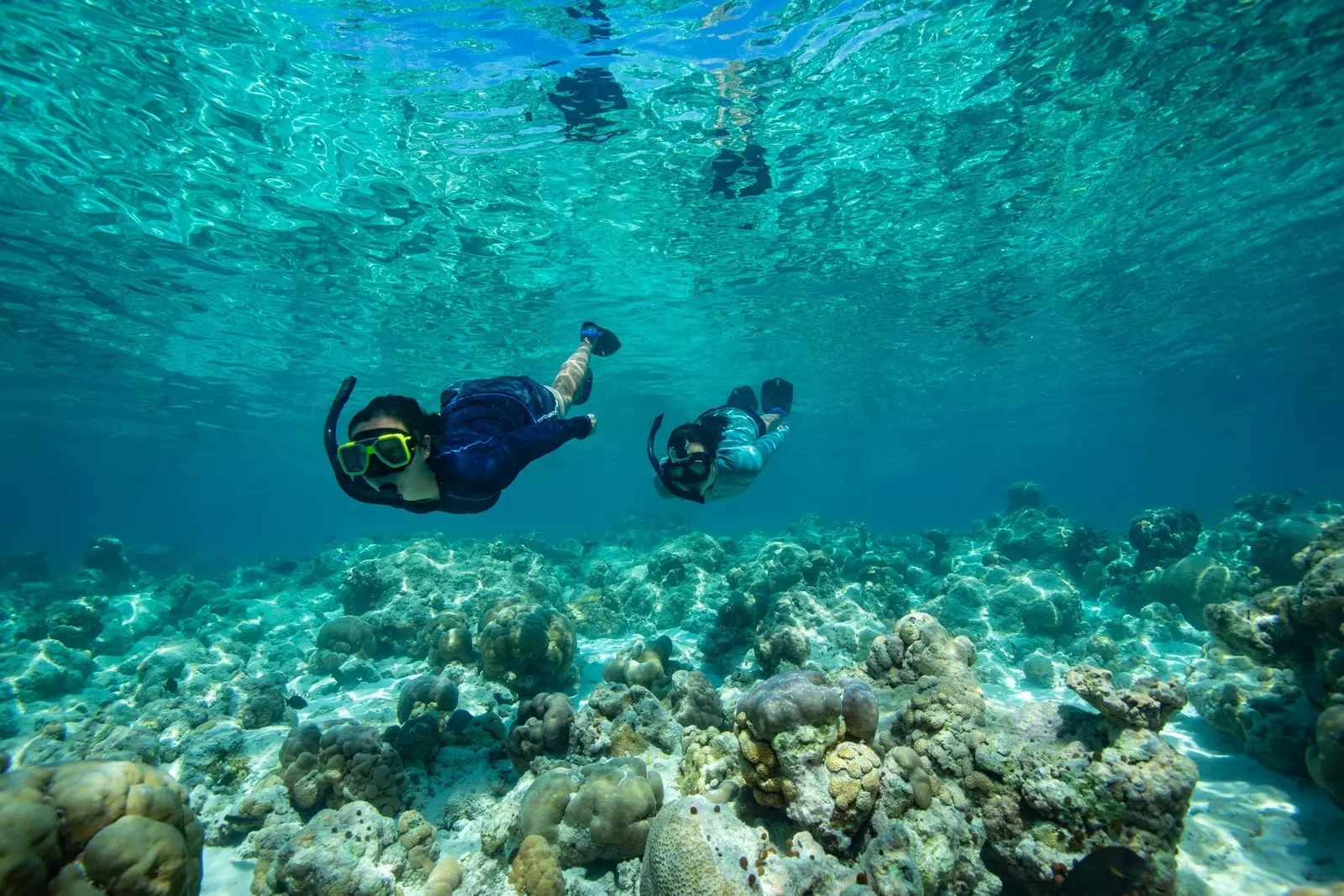 2 people snorkelling over the corals of the house reef in clear water.