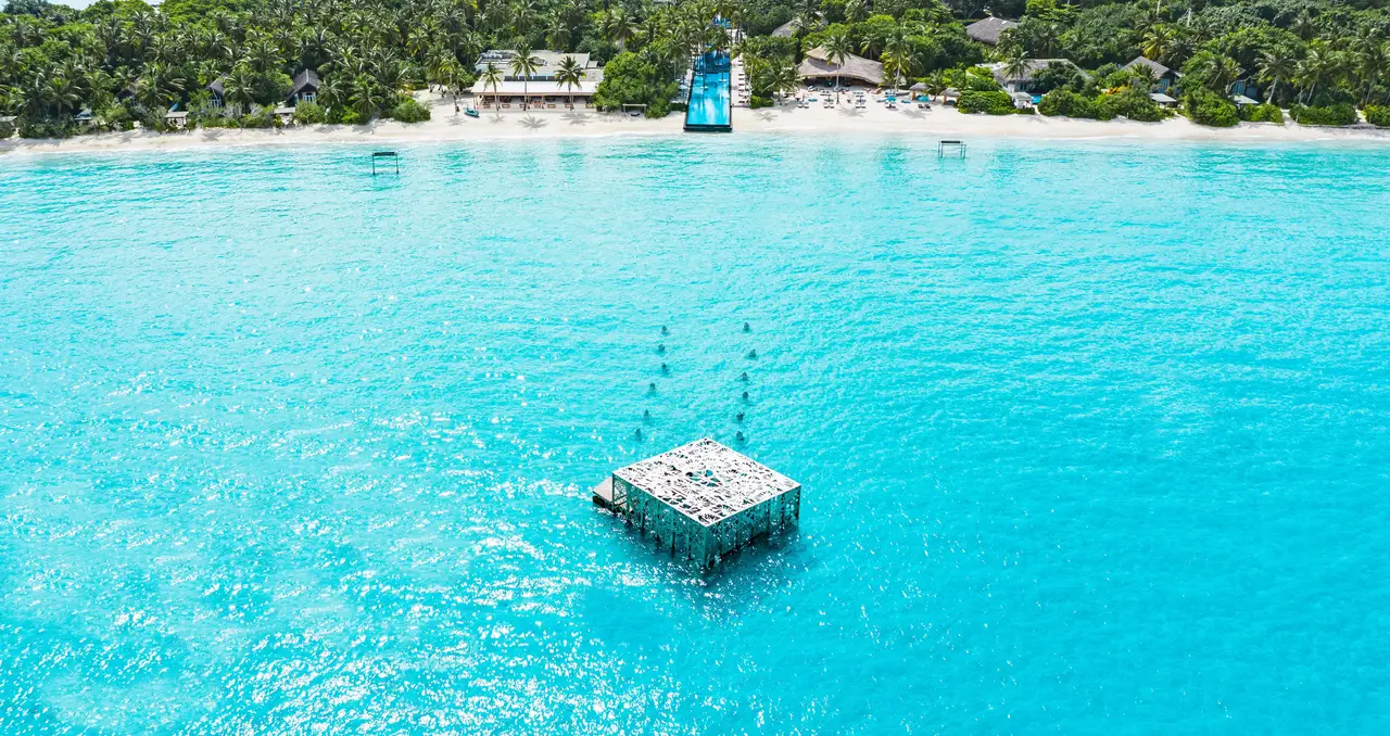 The Coralarium from above in the middle of the lagoon, with the beach and the long pool behind it.