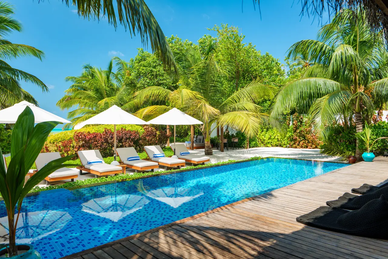 The Sirru Residences pool among the palms, with a row of loungers and white parasols.
