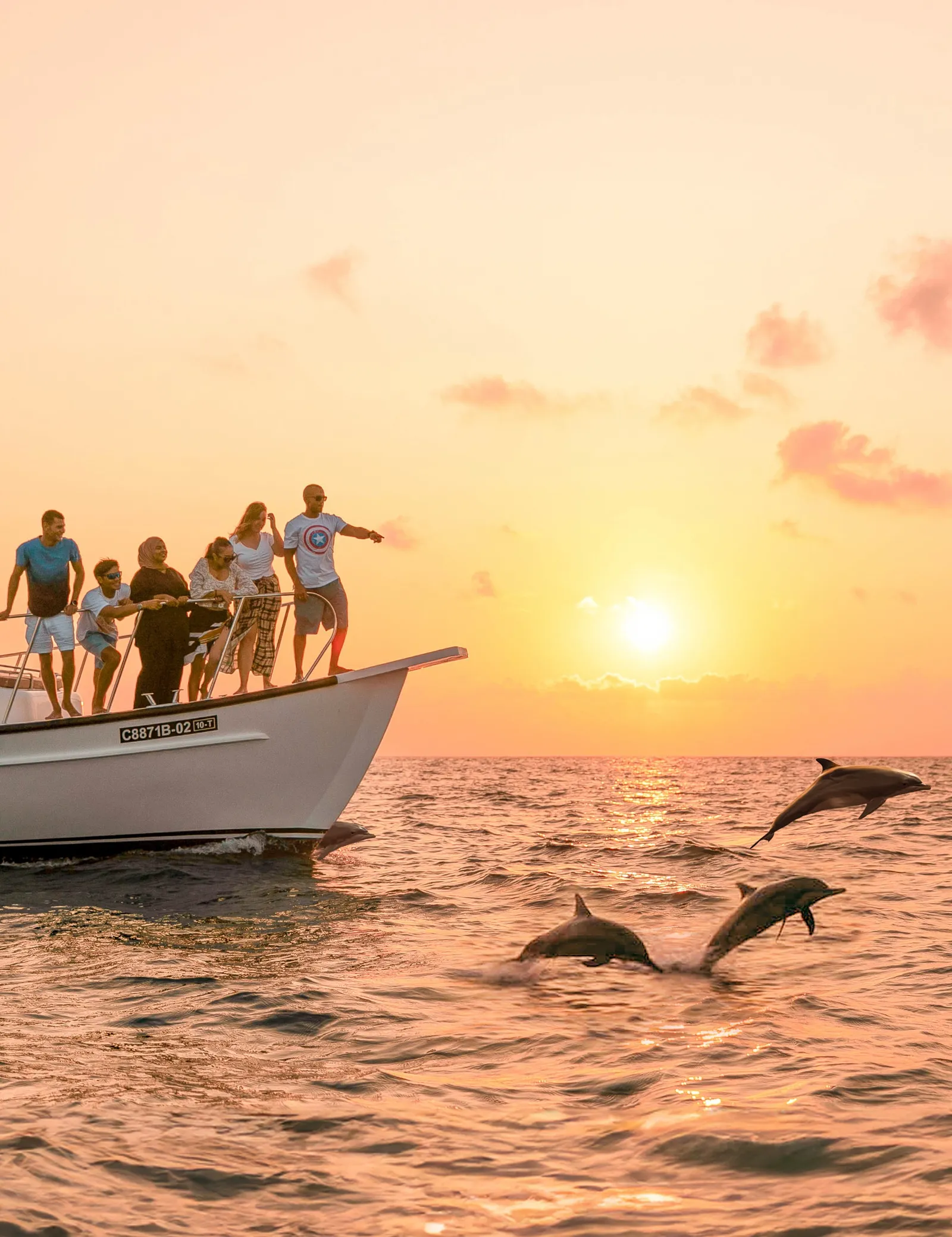Dolphins leaping beside a boat at sunset, guests at the bow