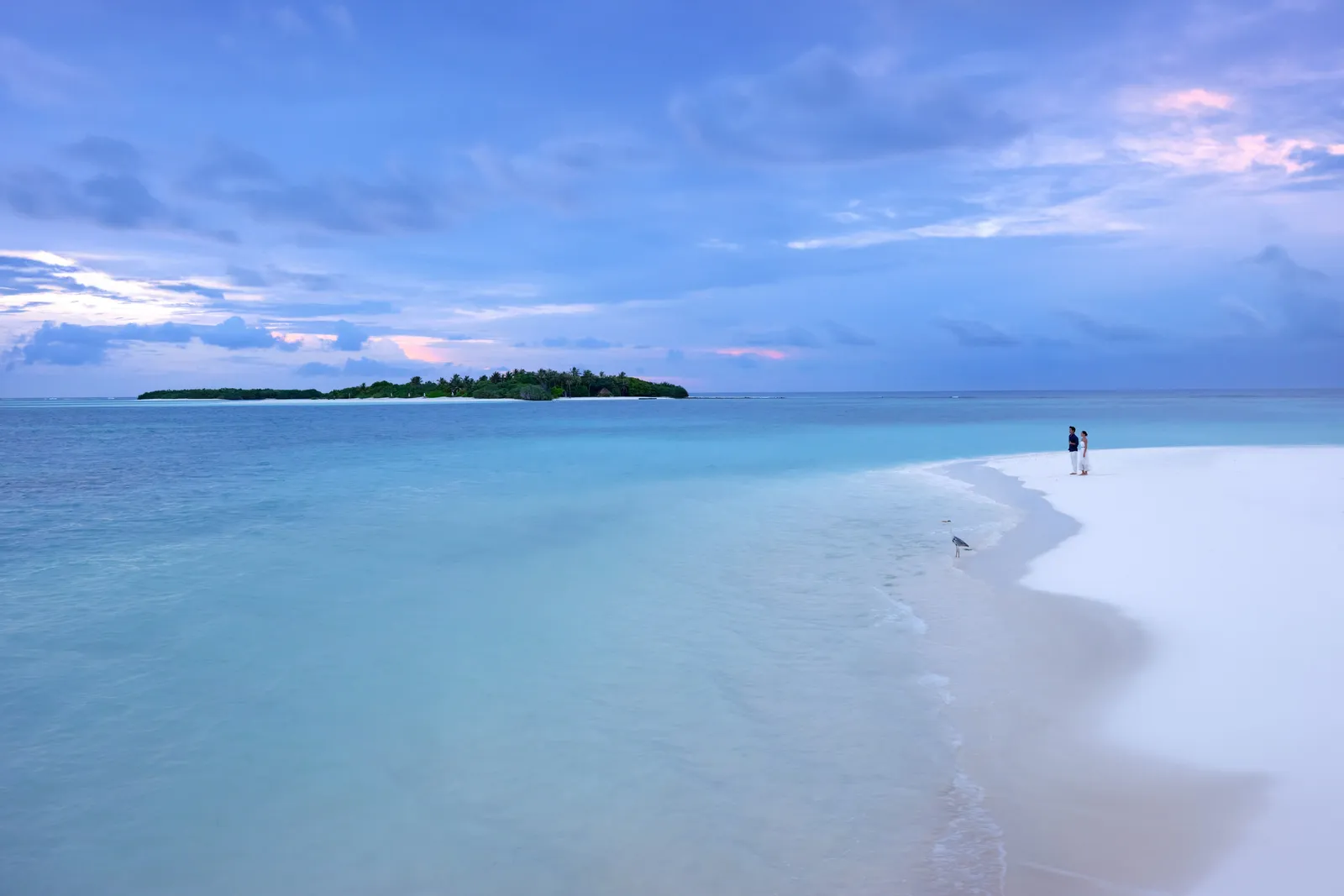 2 people on a spit of white sand at dusk, a heron at the water’s edge and a green island on the horizon