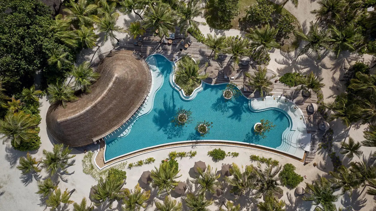 Sip & Sand’s free-form pool from above, among the palms beside the thatched restaurant