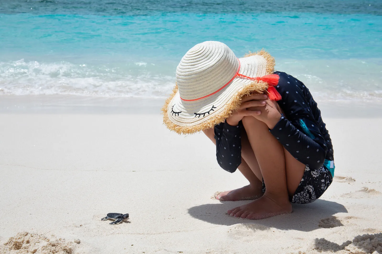 A young girl watching a newly hatched turtle on the sand