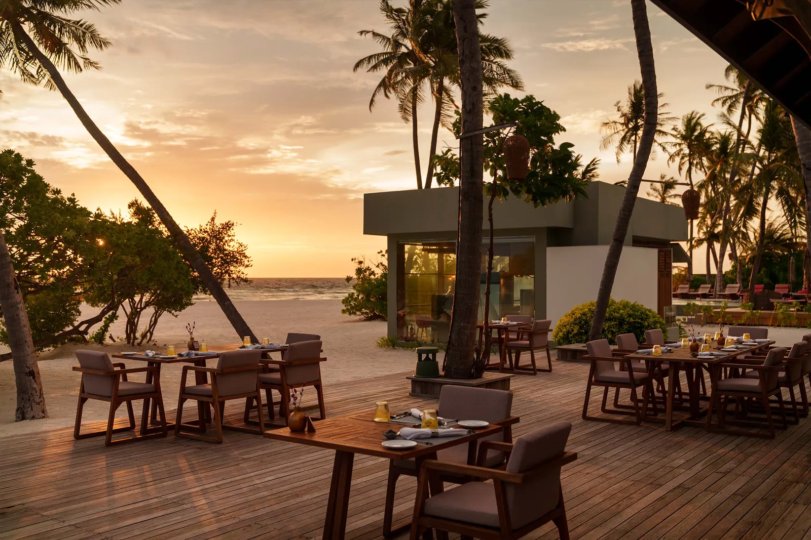 Arigato’s terrace at sunset, among the palms
