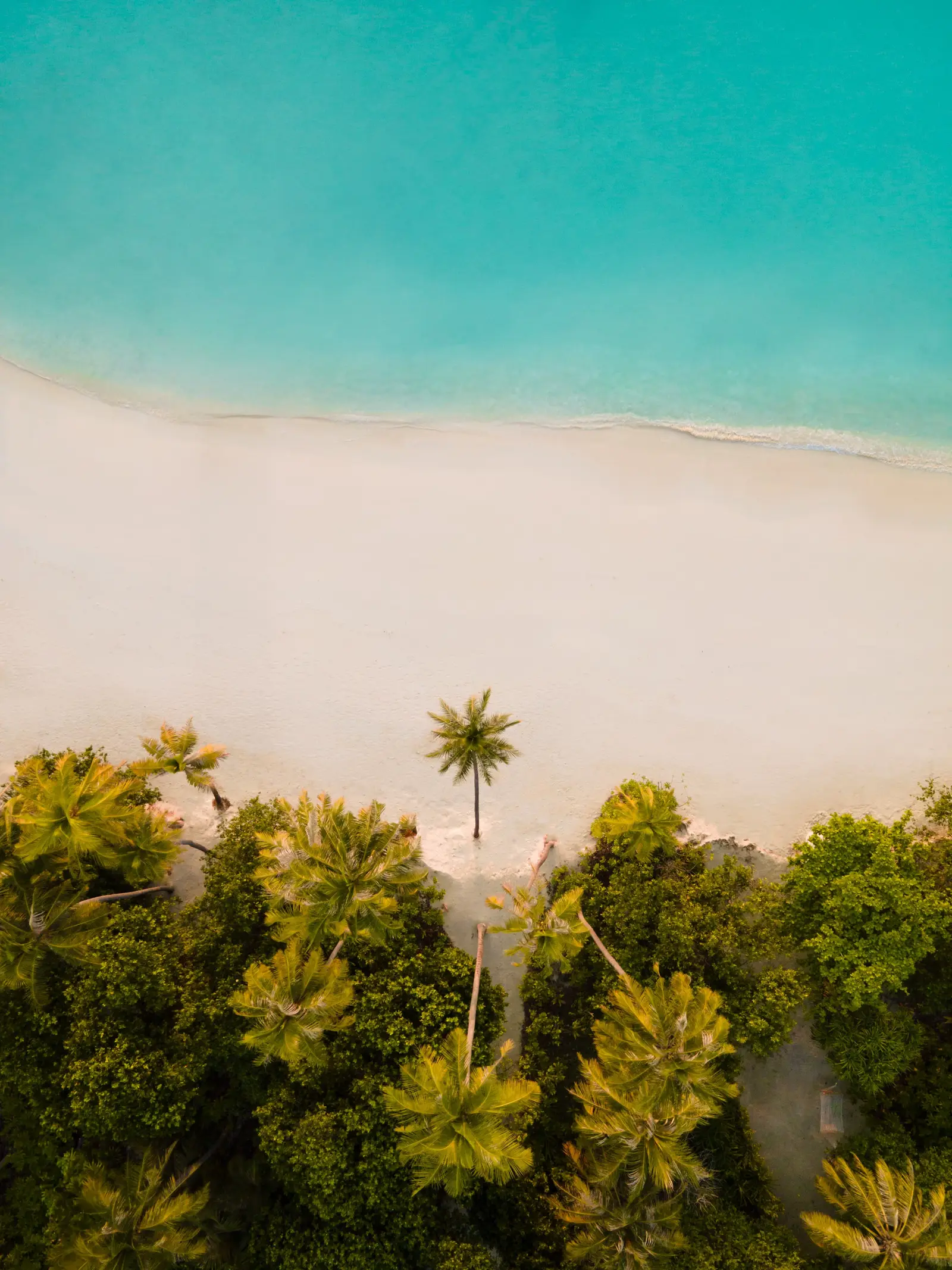 The island’s white beach and greenery from above, with palms