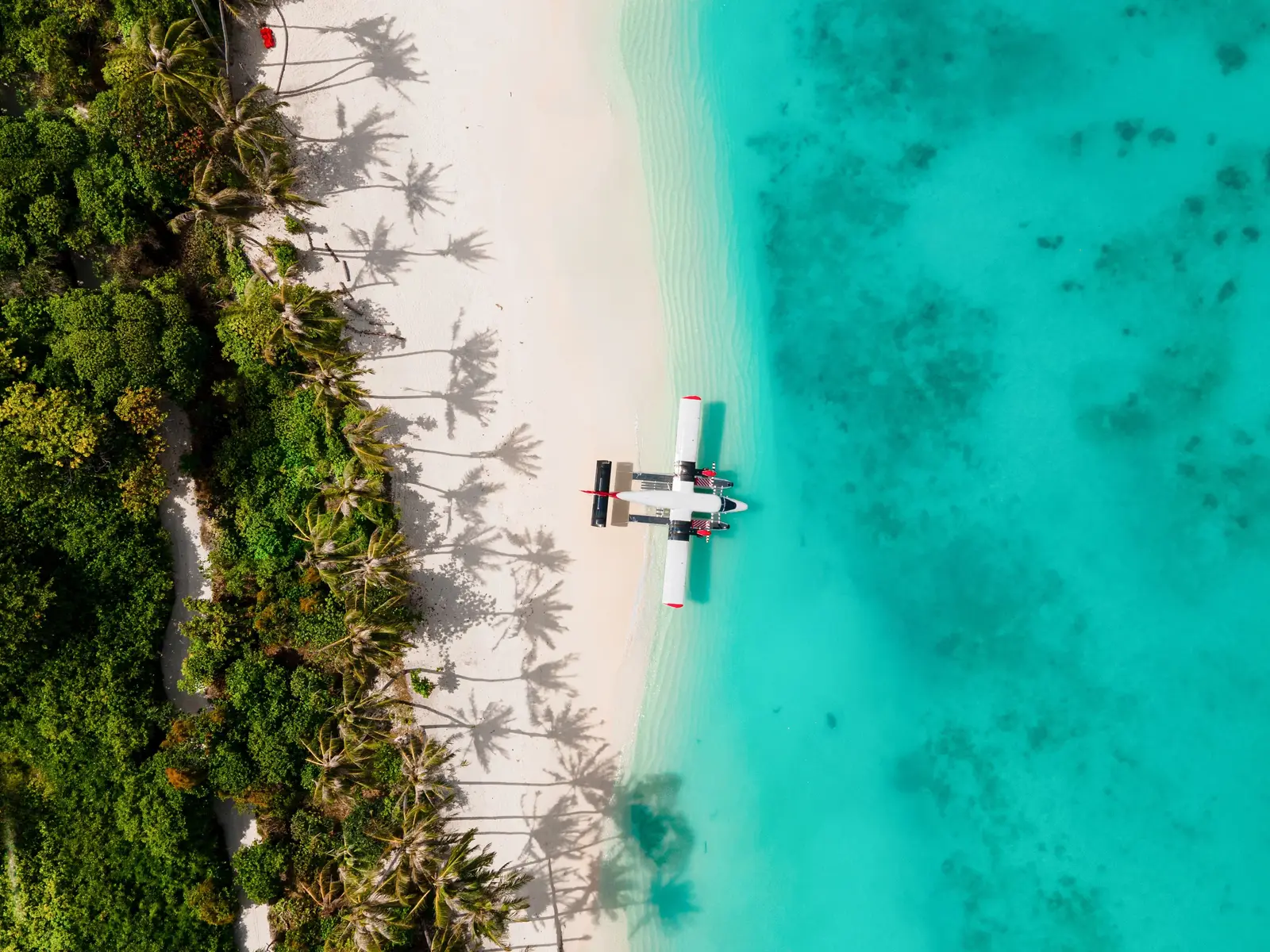 A seaplane resting on the lagoon, seen from above beside the beach