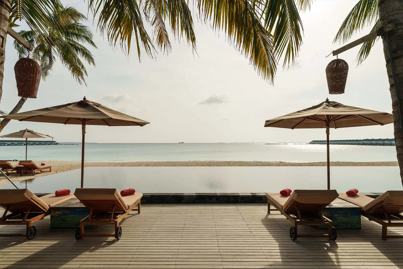 Shipwrecked’s loungers and parasols facing the sea