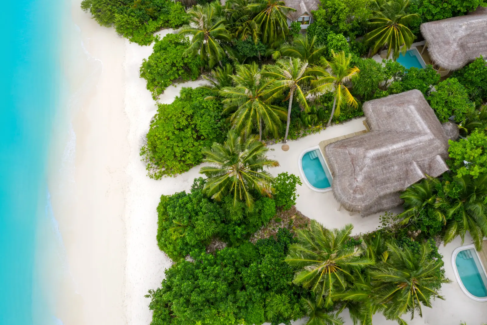 The Crusoe Residences from the air: thatched roofs among the palms beside the beach