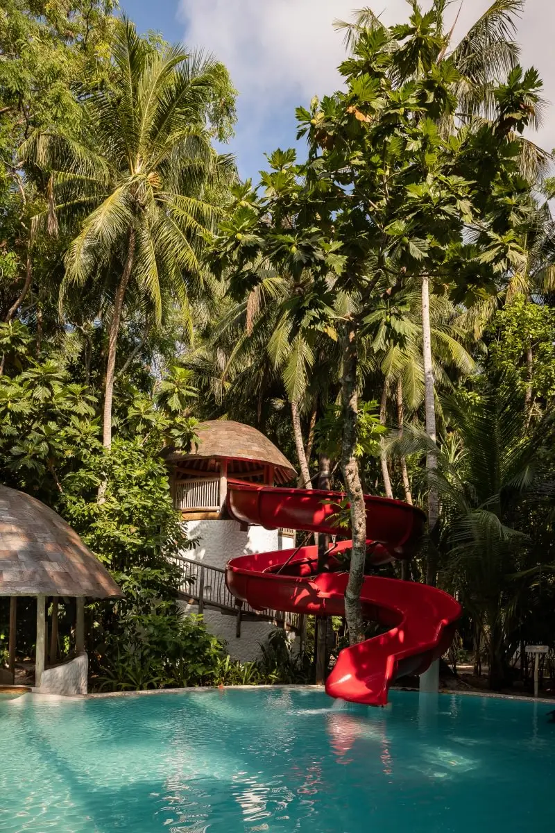 The Den: a red slide running down into a pool among the trees