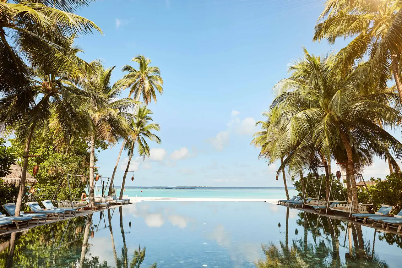 The infinity pool between the palms, loungers along its edges and the lagoon opening up at the far end.