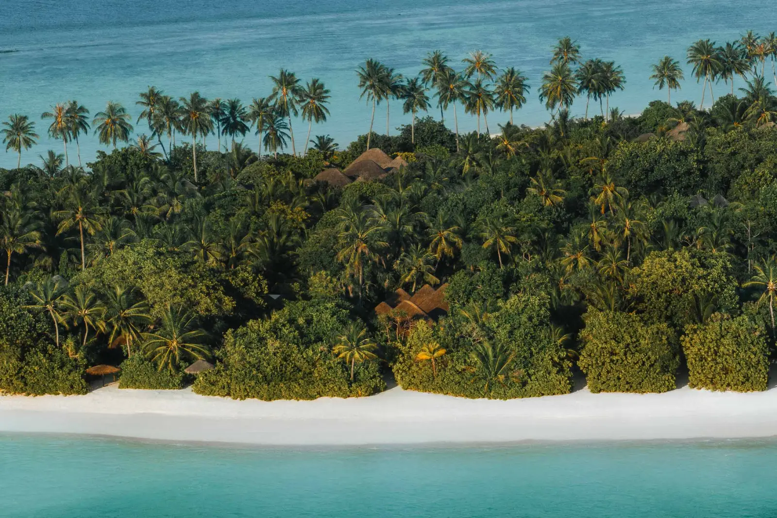 Iru Fushi’s shore seen from the sea: the white sand and the palm forest following it.