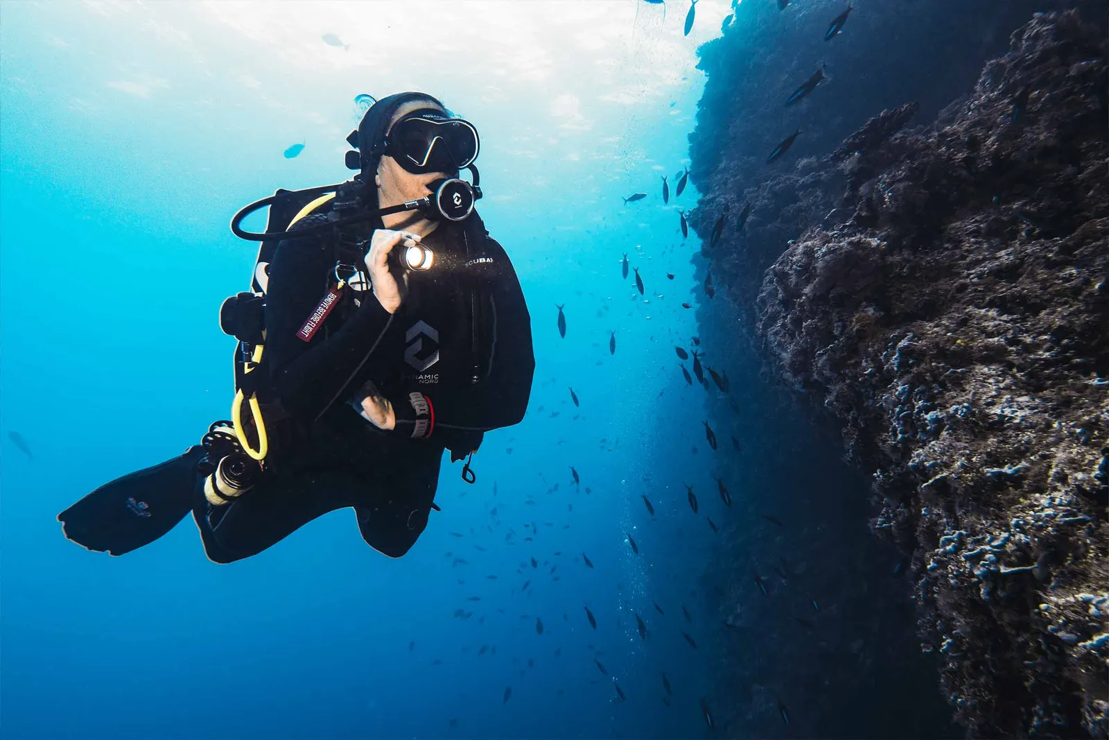 A diver along the reef wall in the blue, with a shoal of fish.
