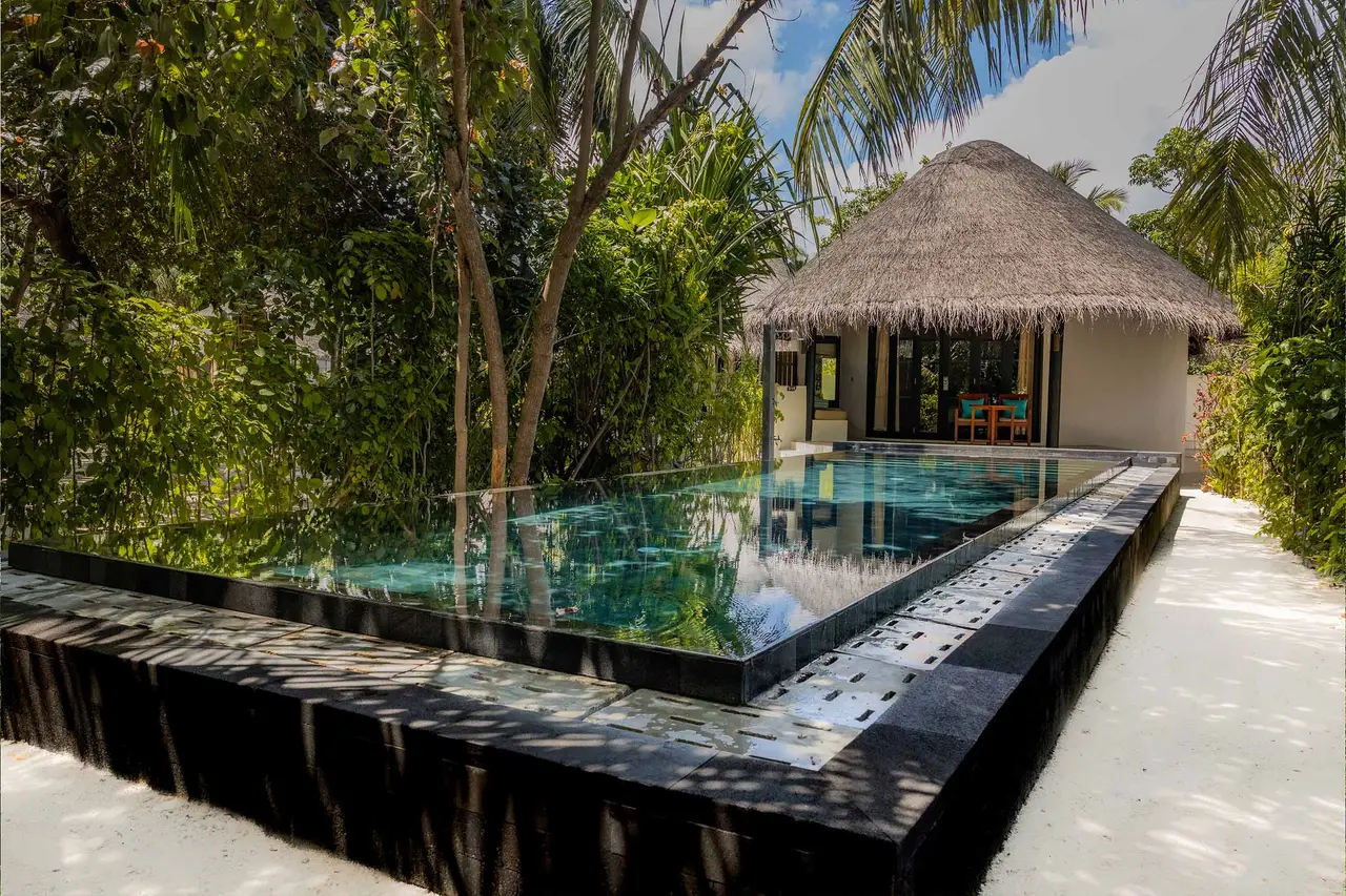 The pool of a Beach Villa with Pool, the thatched villa among the palms and its pale stone deck.