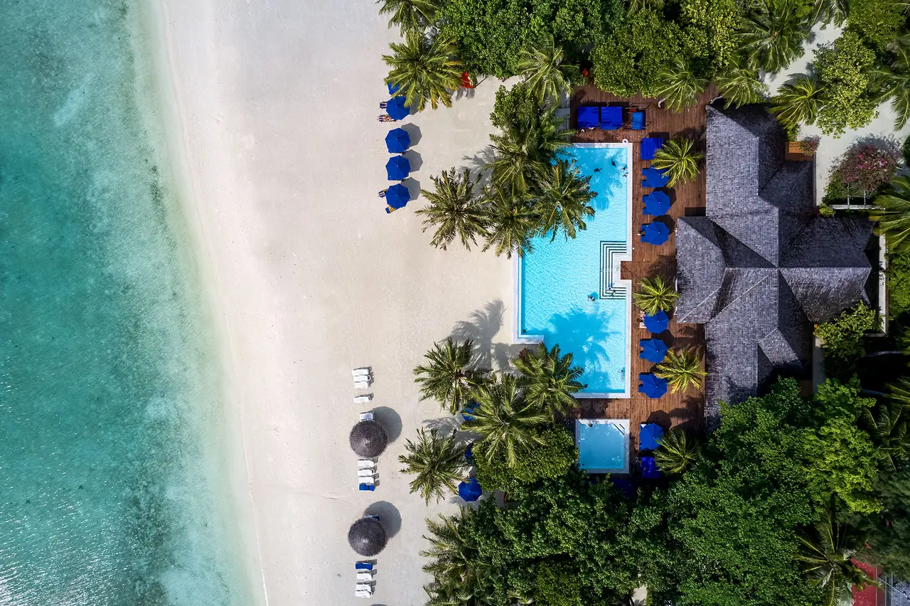 The beach, a pool and thatched roofs from above, among the palms