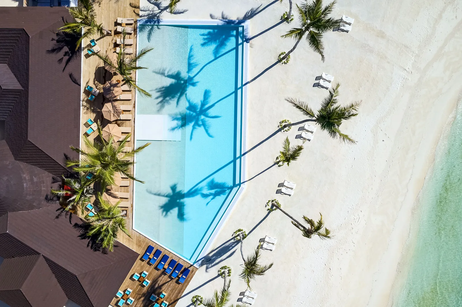 One of the pools from above, long and blue among the palms