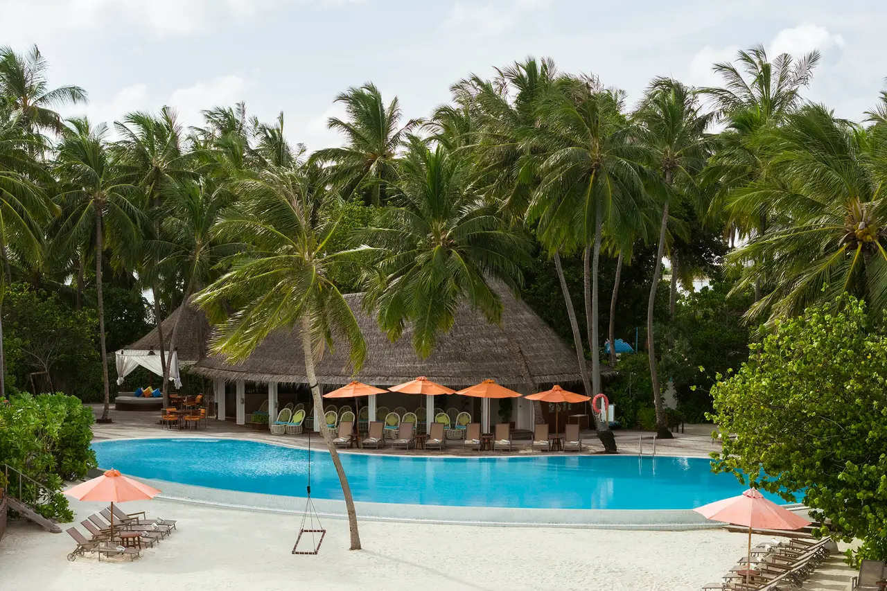 The Positive Energy pool among the palms, with orange parasols, loungers and a swing.