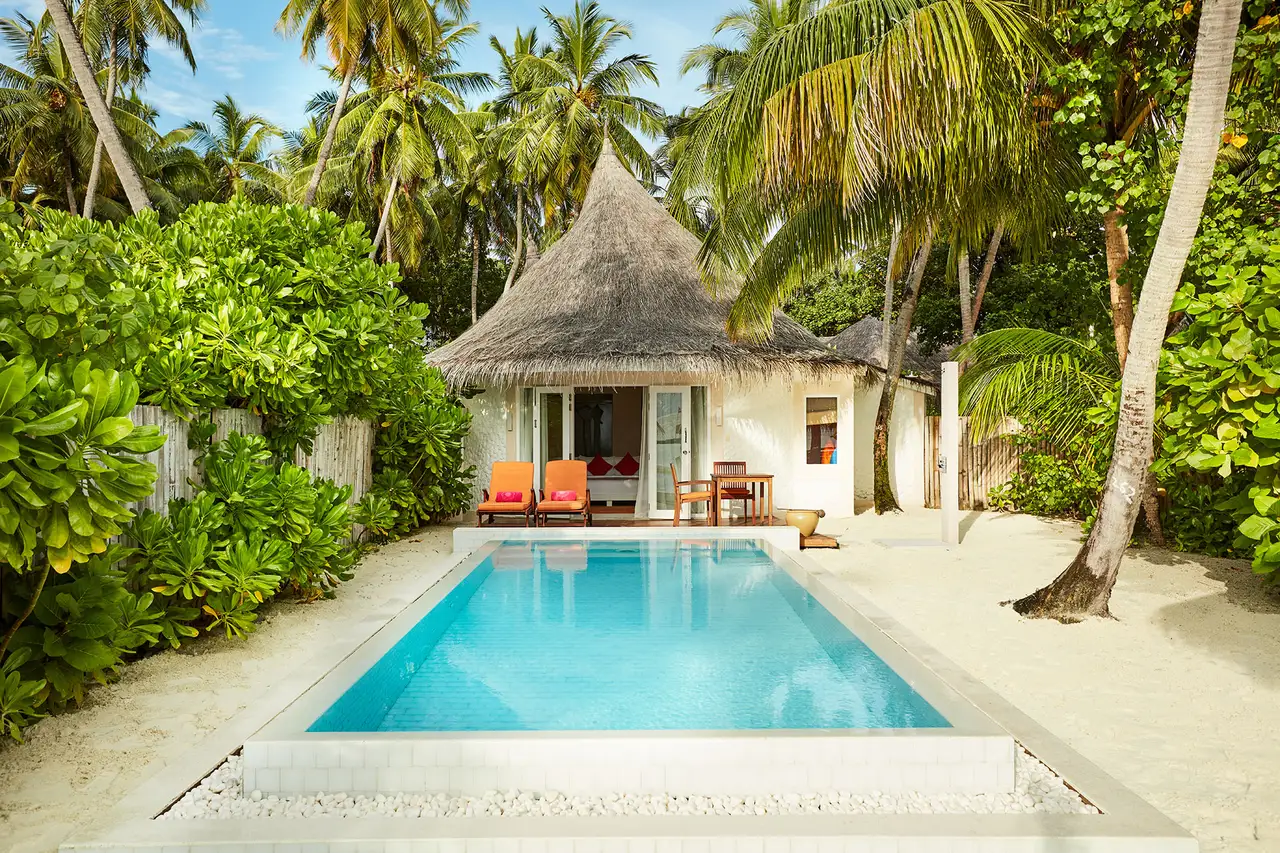 A Grand Beach Villa with Pool’s pool among the shrubs, with the thatched villa and palms behind.