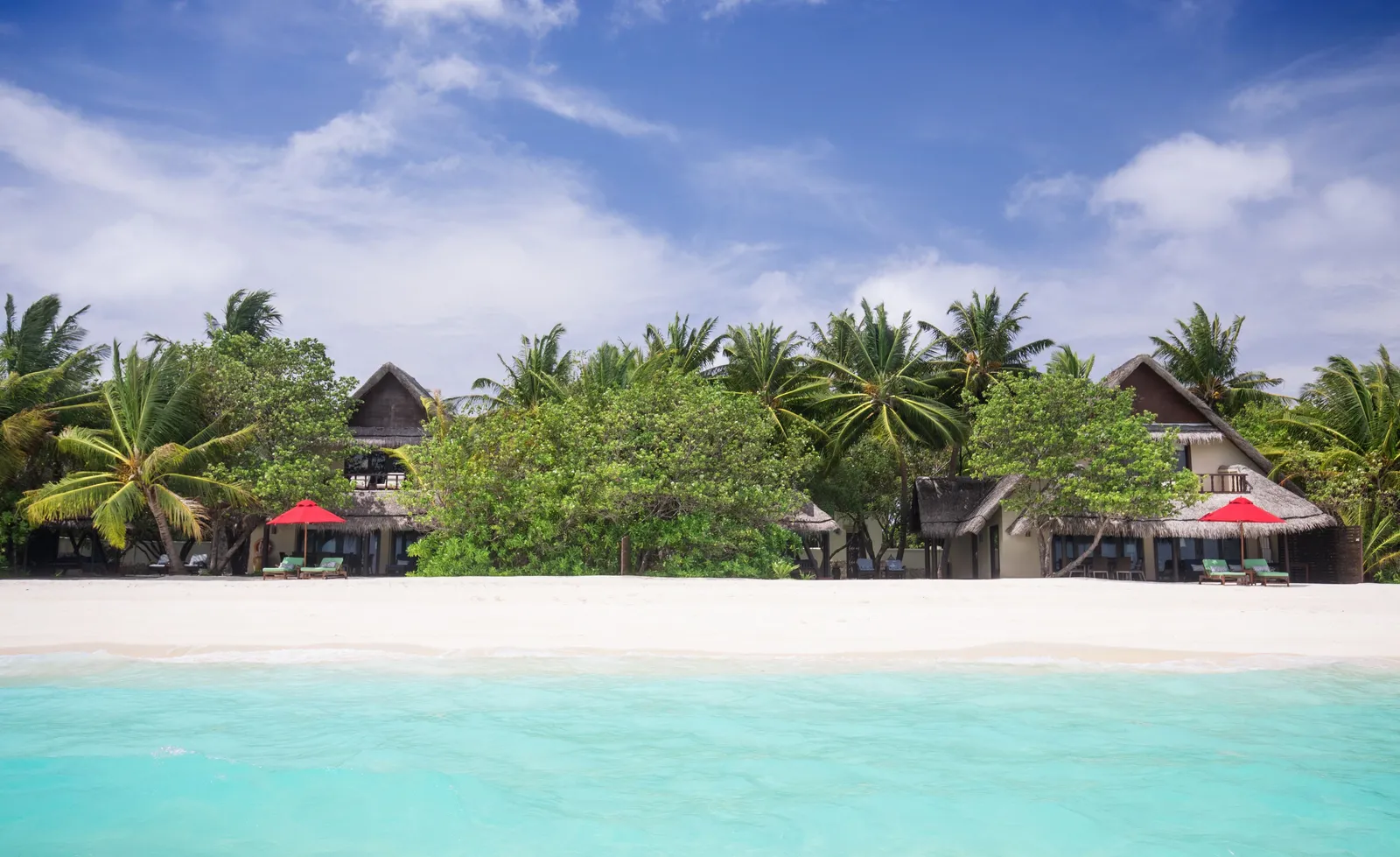 Beachfront villas among palms, seen from the sea