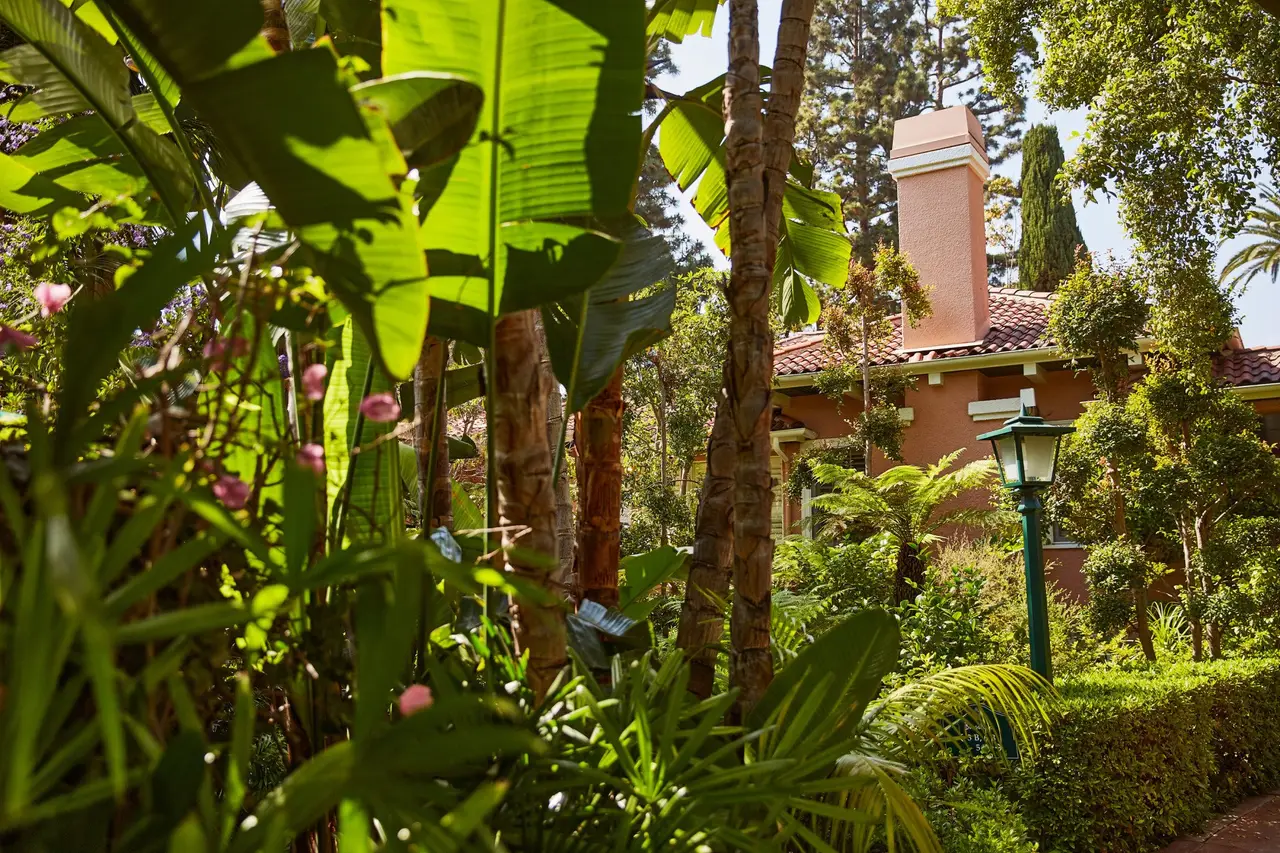 A path through banana plants towards a pink building