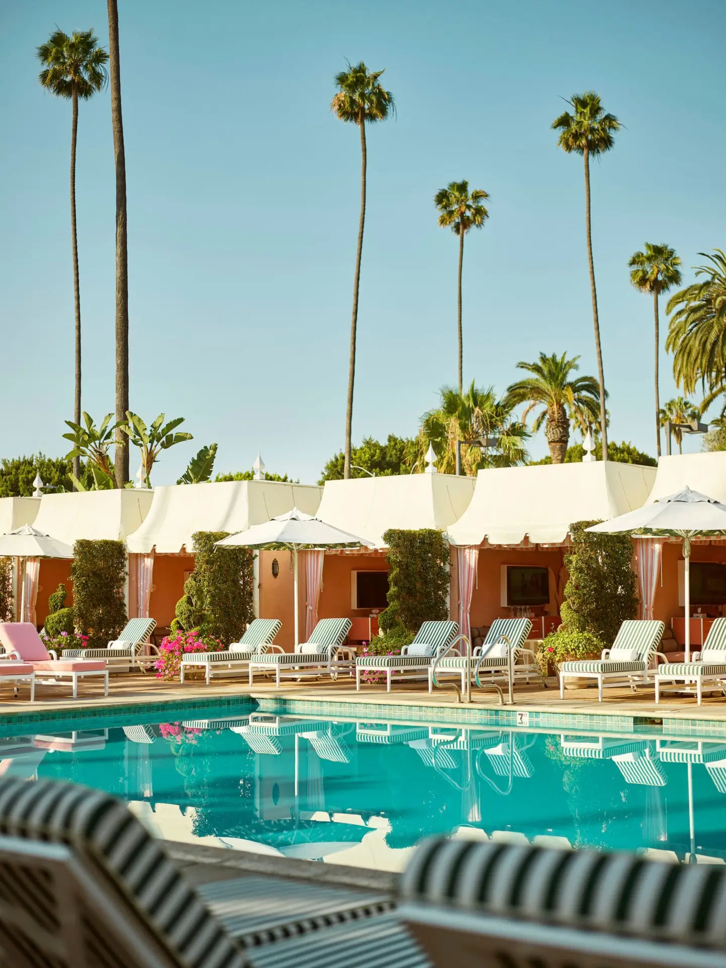 The pool with its striped cabanas and loungers, tall palms behind