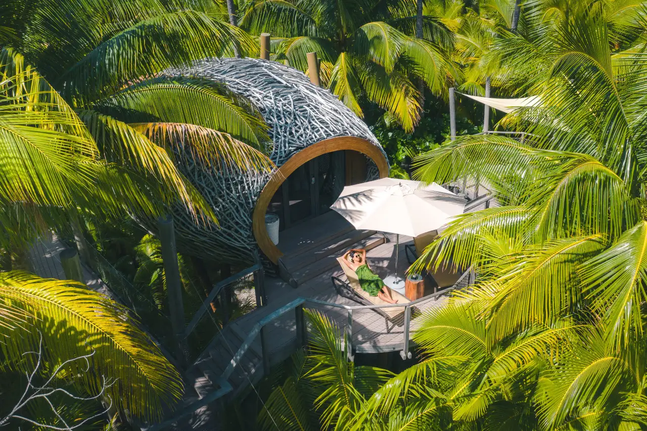 Fare Manu, the woven suite among the palm tops, seen from above