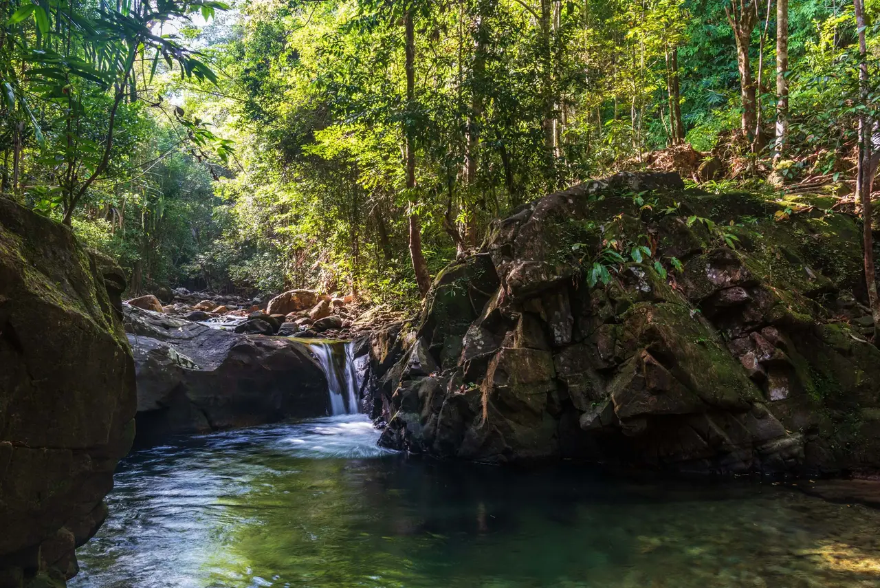 A clear creek between boulders in the forest, a small cascade at the back