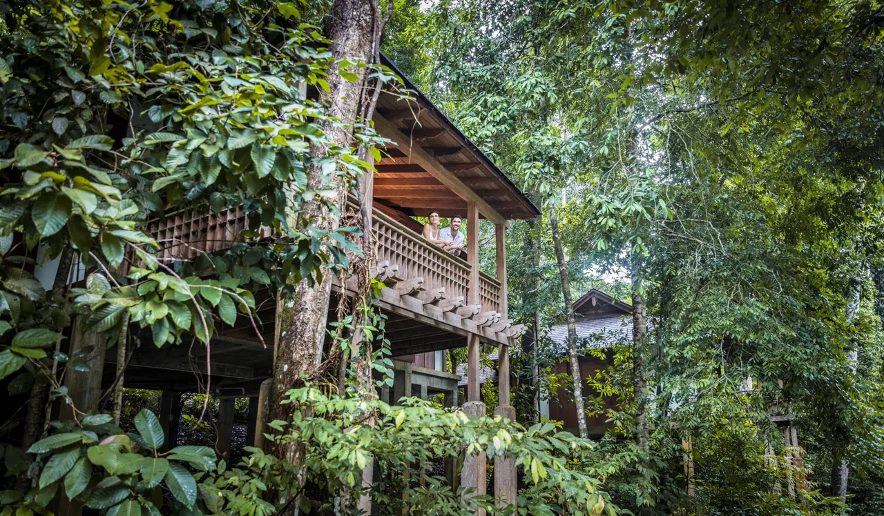 A Rainforest Villa on stilts among tall trees, its timber balcony in the green