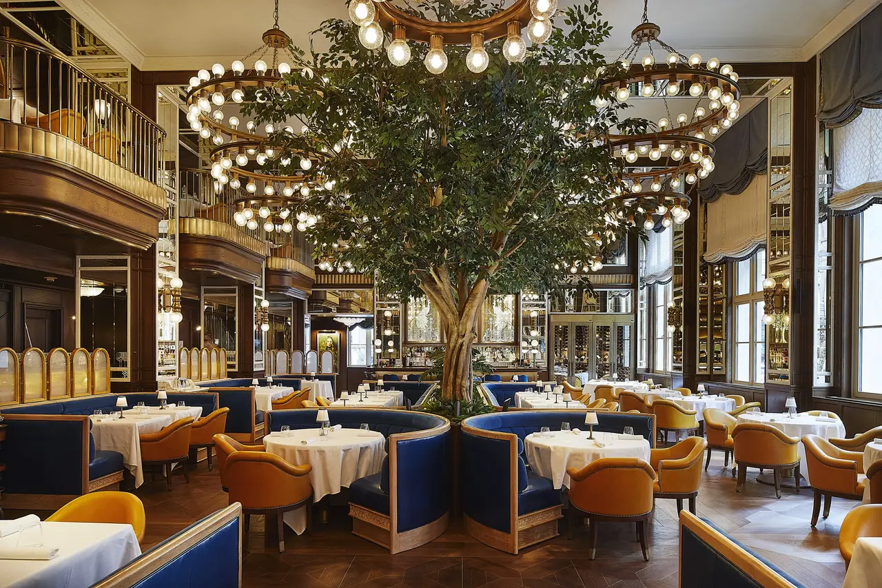 Café Carmellini’s dining room: blue velvet banquettes around a tree, under the chandeliers